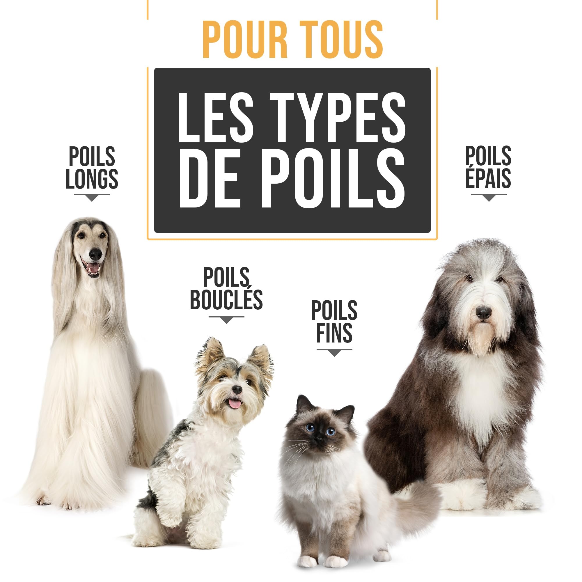 PetKing Premium Tondeuse pour Chiens, Kit de Toilettage Professionnel pour Pelages épais, Compatible Avec les Chiens et les chats. Tondeuse Sans fil et Silencieuse, Idéale pour les Chien et les Chats