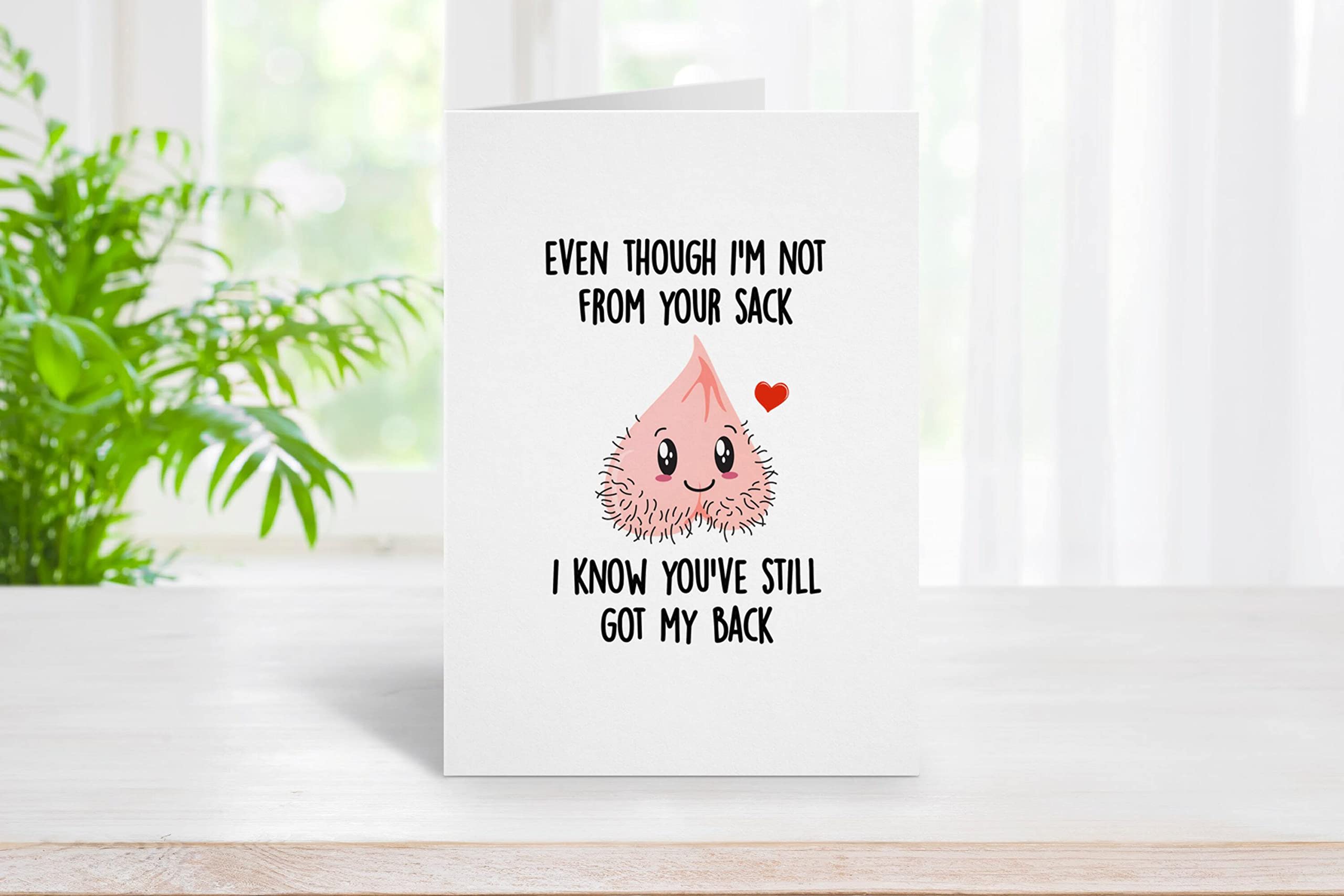 Lustige Vatertagskarte Für Bonus-Vater – 'Even Though I'm Not From Your Sack' – 10,2 X 15,2 Cm