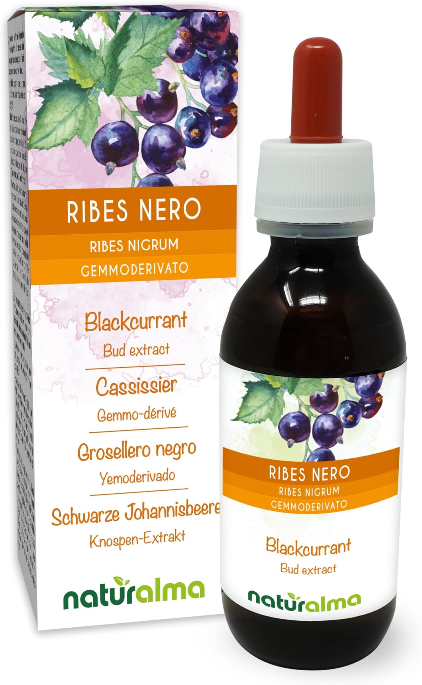 Blackcurrant (Ribes nigrum) Alcohol-Free Bud Extract from Fresh Buds Naturalma - Liquid Drops 120 ml - Food Supplement - Vegan