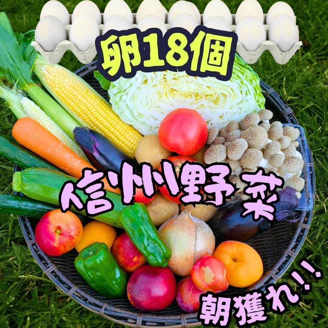 天女 その九」 澤田政廣 大作 132/200 額装 澤田政廣先生生版画