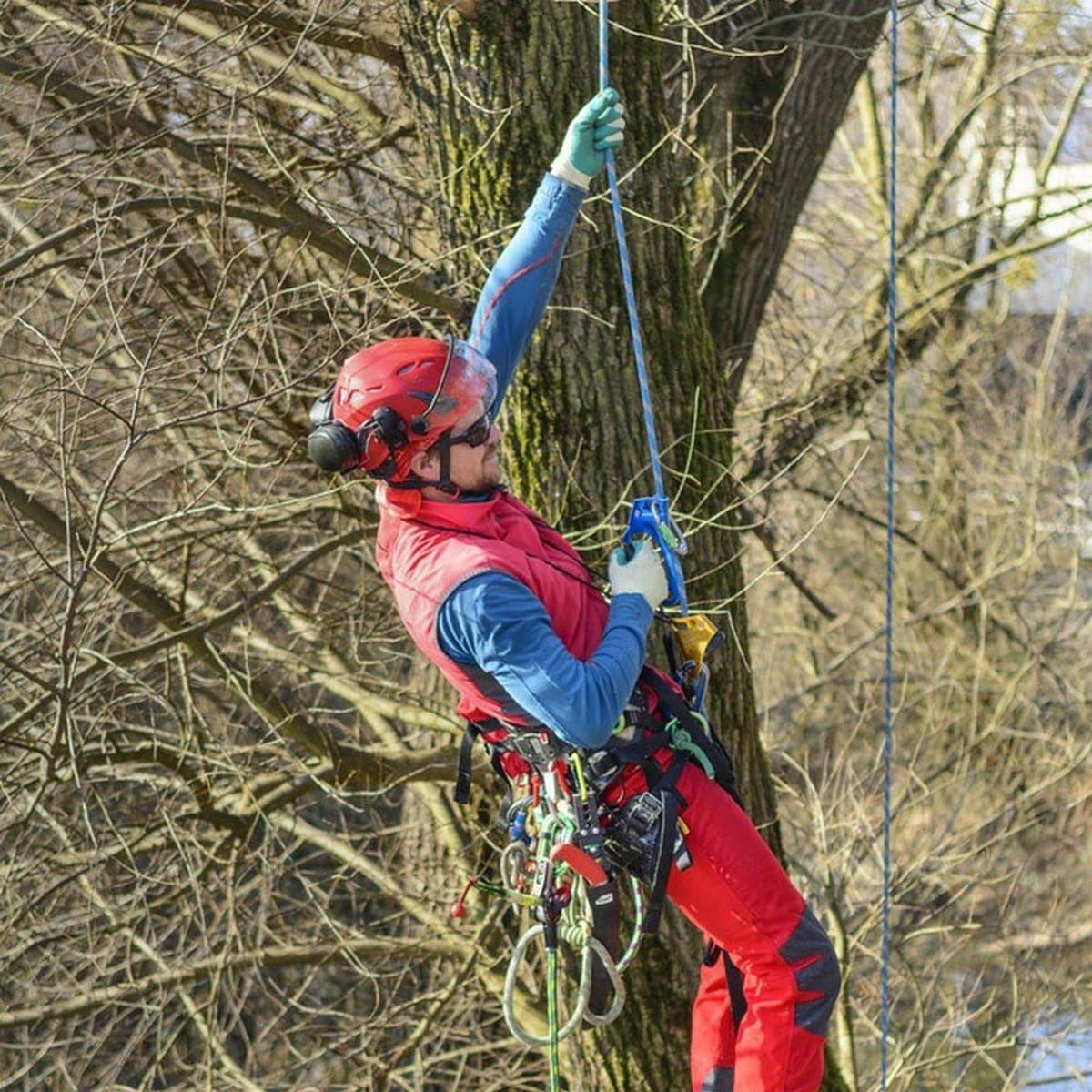 Braided Polyester Arborist Rope (3/8 inch X 150 feet) High Strength Bull Rope for Tree Work Truck Securing Camping Swing, Blue/Red