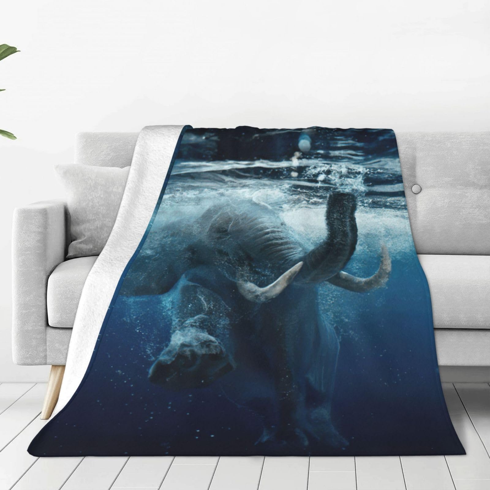 Couverture polaire éléphant africain pour cocooning canapé
