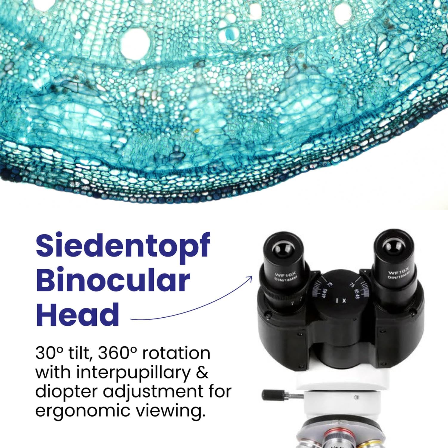 Amazon.co.jp: AmScope 3Dステージ+ USBカメラと40X-2500X LEDデジタル