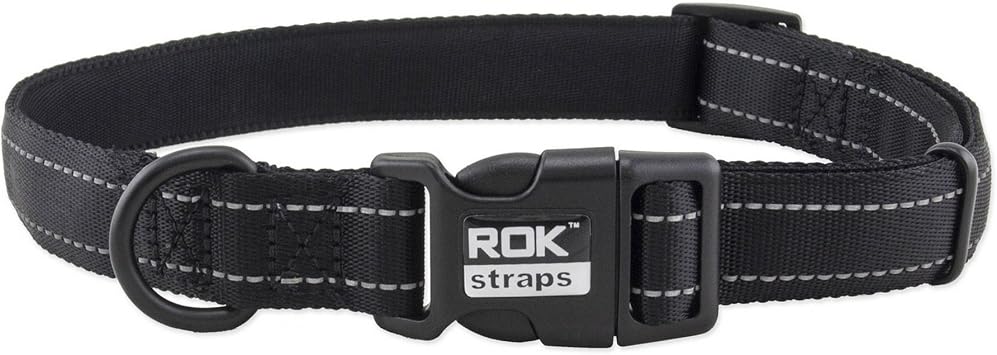 Collar, Small, Black/Purple Detail