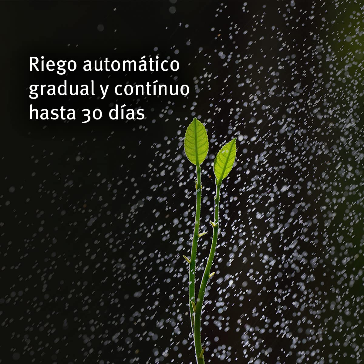 Aqua Control Biogel C2140, Agua Sólida para Tus Plantas, Ideal para Riego en Vacaciones, hasta 30 Días sin Regar, 400 ml