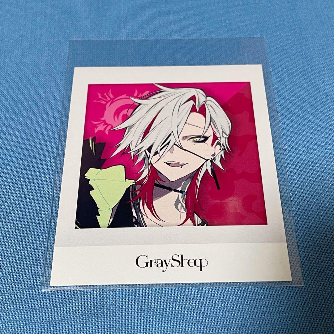 Amazon.co.jp: Gray Sheep EP01 CD特典 チェキ風 JUNKY : Toys