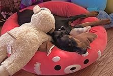 Review Image by Sharon Sharon