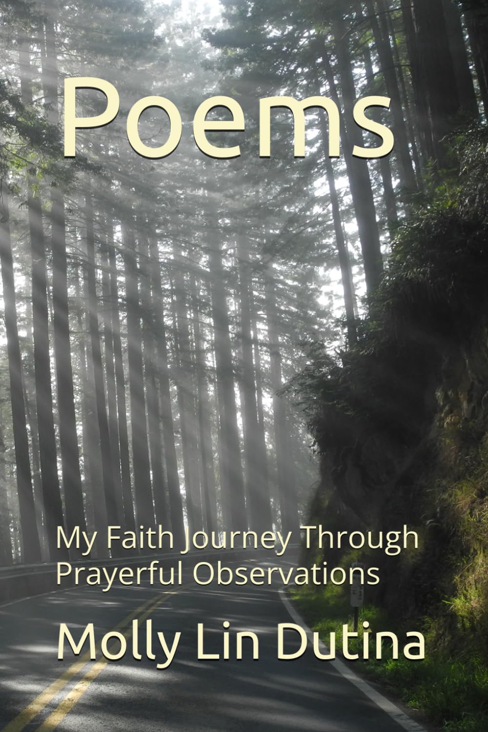 Poems: My Faith Journey Through Prayerful Observations