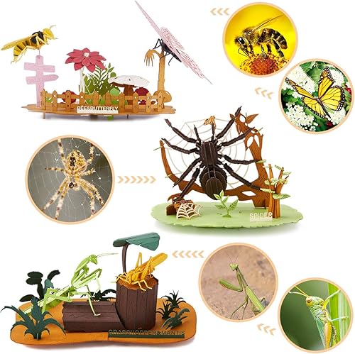 Miniatura 2 de CUPUZ Rompecabezas 3D de papel, 3 modelos surtidos de cartón de insectos, kit de bricolaje para niños, manualidades educativas, 5 insectos, abejas,