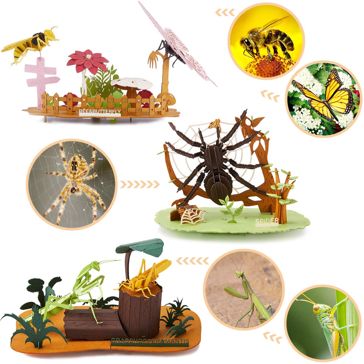 Amazon.com: CUPUZ 3D Insect Puzzle, 5 Assorted Cardboard