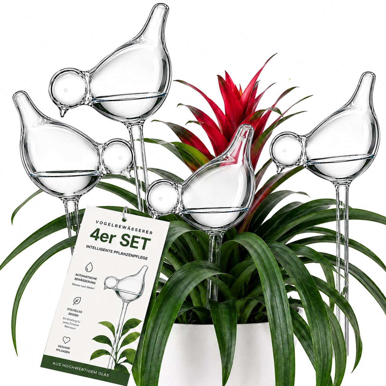 Vogel Bewässerungskugeln 6er Set aus Borosilikatglas 200ml Pflanzen