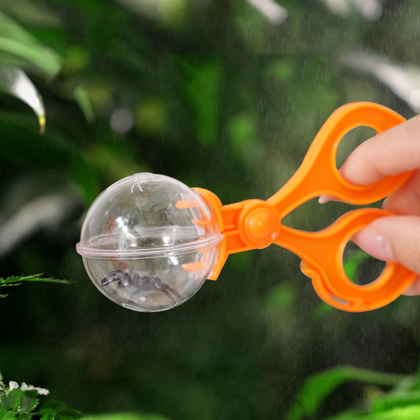 Lot de 2 attrape-insectes pour enfants, outil de capture d'insectes à