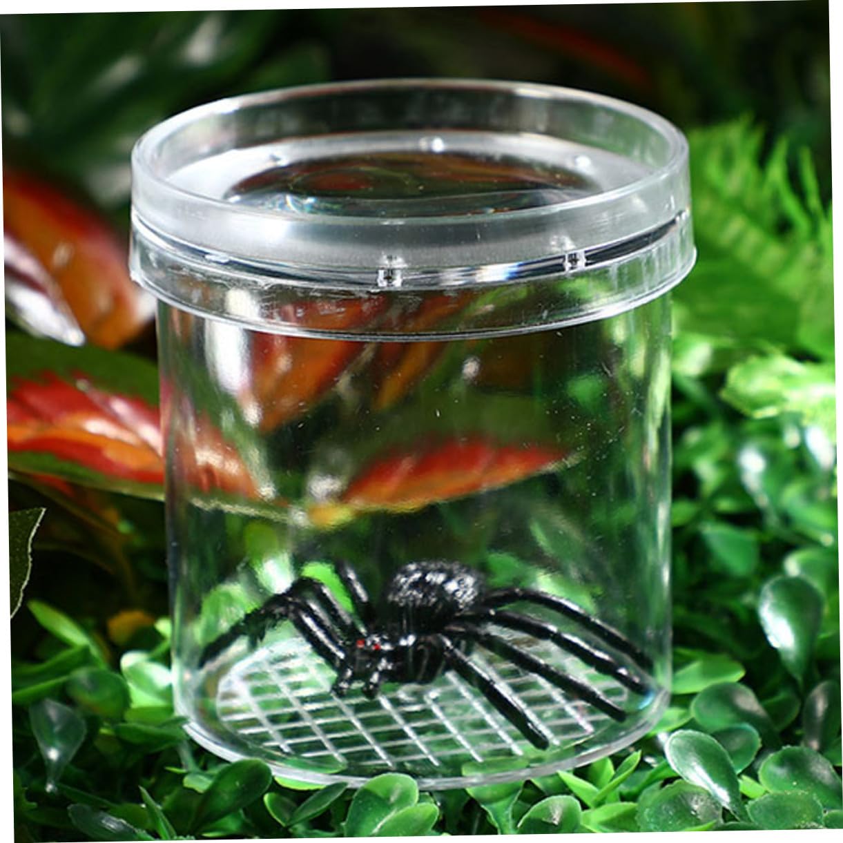 Cajas Portátiles para Insectos 9 Piezas de Plástico para Observación