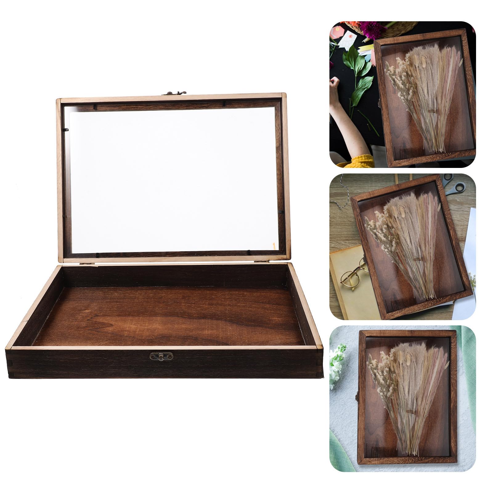 Vitrina de Madera Retro para Insectos y Colecciones Tapa Transparente y Cierre, Caja Compacta para Exhibición y Almacenaje de Muestras y Artesanías Estilo