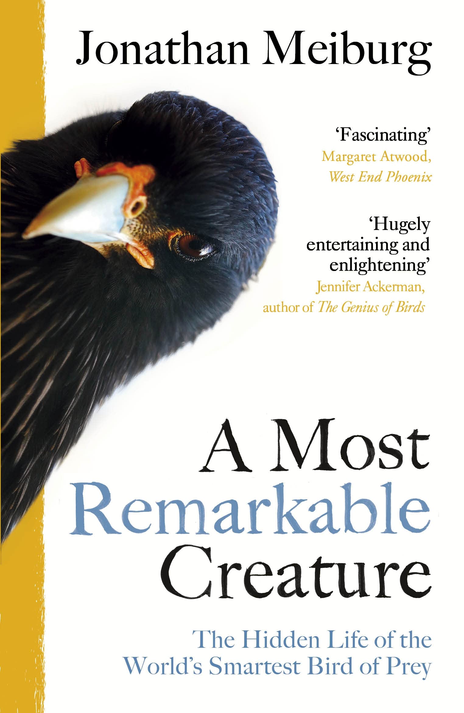 A Most Remarkable Creature: The Hidden Life of  by Jonathan Meiburg PAPERBACK