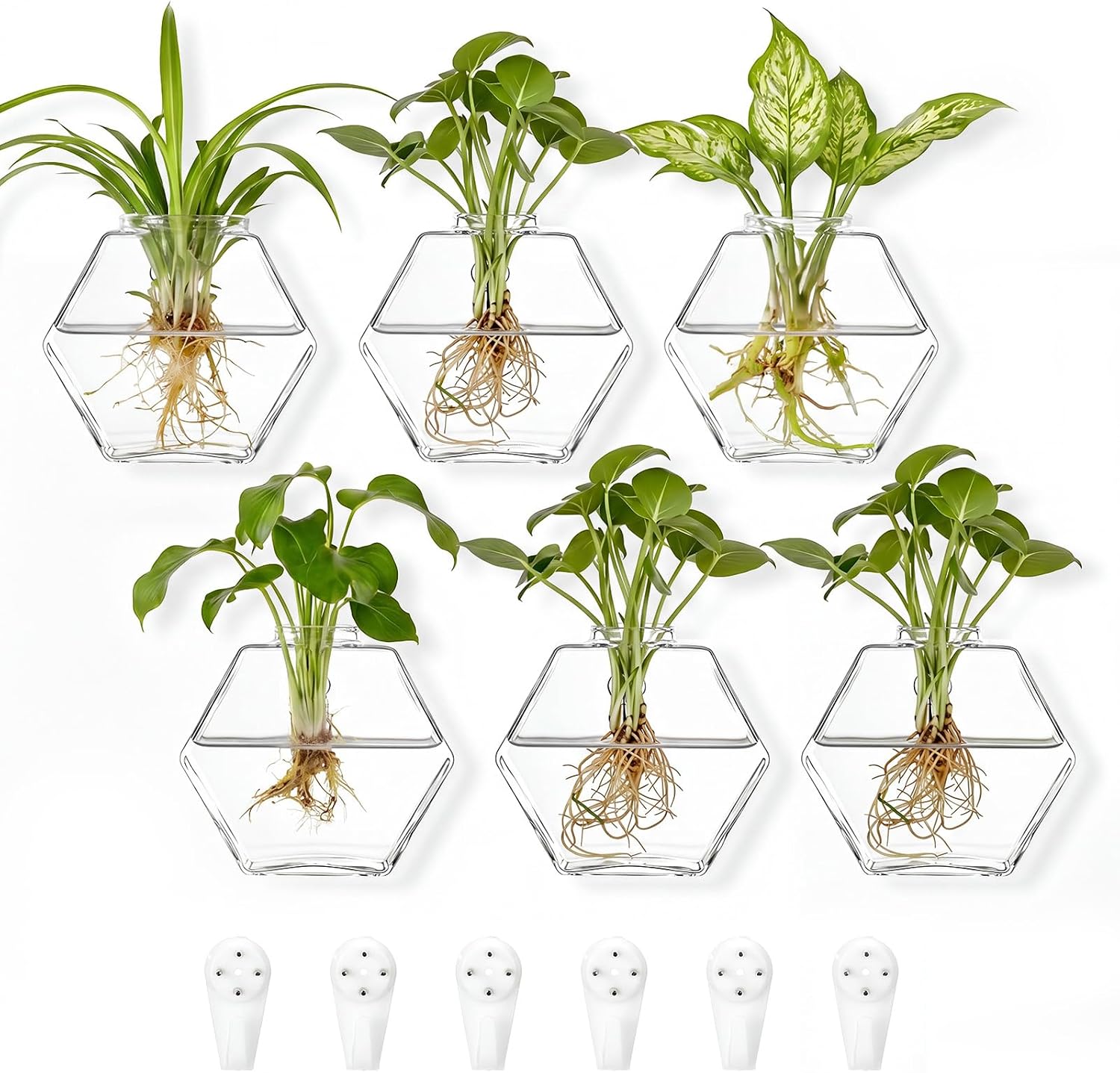 6 Set Wall Glass Planter Hanging Propagation Glass Wall Planter