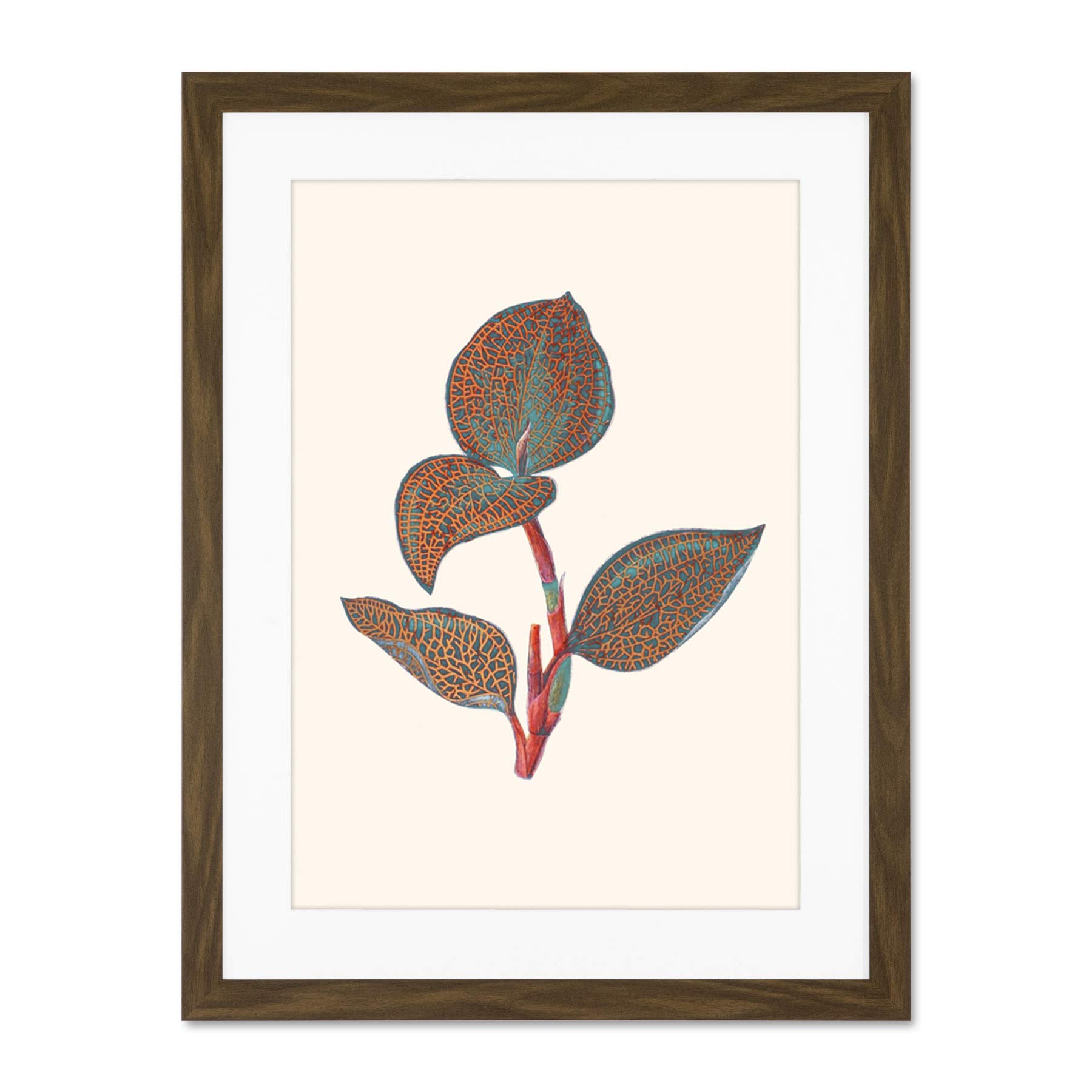 Wee Blue Coo Primary Coloured Exotic Flora Large Brown Framed Art Print Wall Poster 18x24 inch