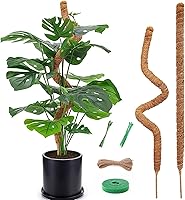 Vista 1 de Paquete de 2 postes de musgo para plantas Monstera – Postes de musgo de 25 pulgadas para plantas trepadoras Monstera, estacas de poste de musgo