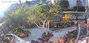 Review Image by lili yao lili yao