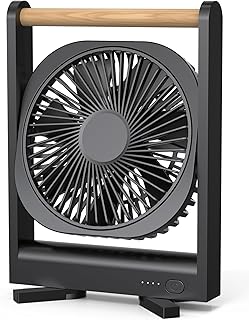 Magnetic Fan for Cruise Ship - Ultra-Thin Design Magnetically Sticks to Cabin Ceilings & Walls, 4-Speed, Rechargeable Battery, Quiet & Cruise Approved Portable Fan for Travel (2026 Upgrade, Black)