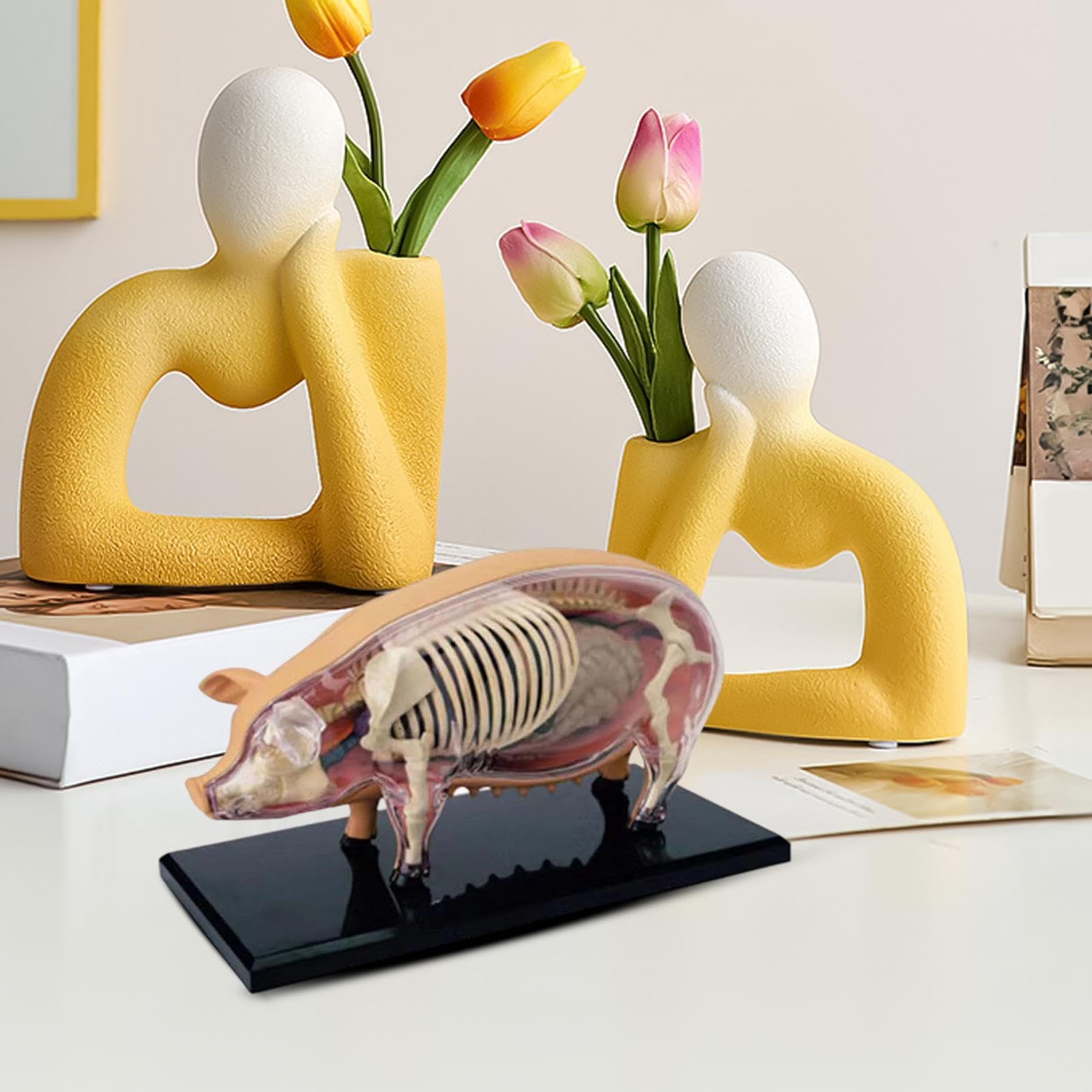 Modelo de Anatomía Animal Herramienta de Enseñanza para Cerdos | Herramienta Científica Juguete Demostración Biológica Material Didáctico De Biología Para Aulas Estudiantes Clínicas