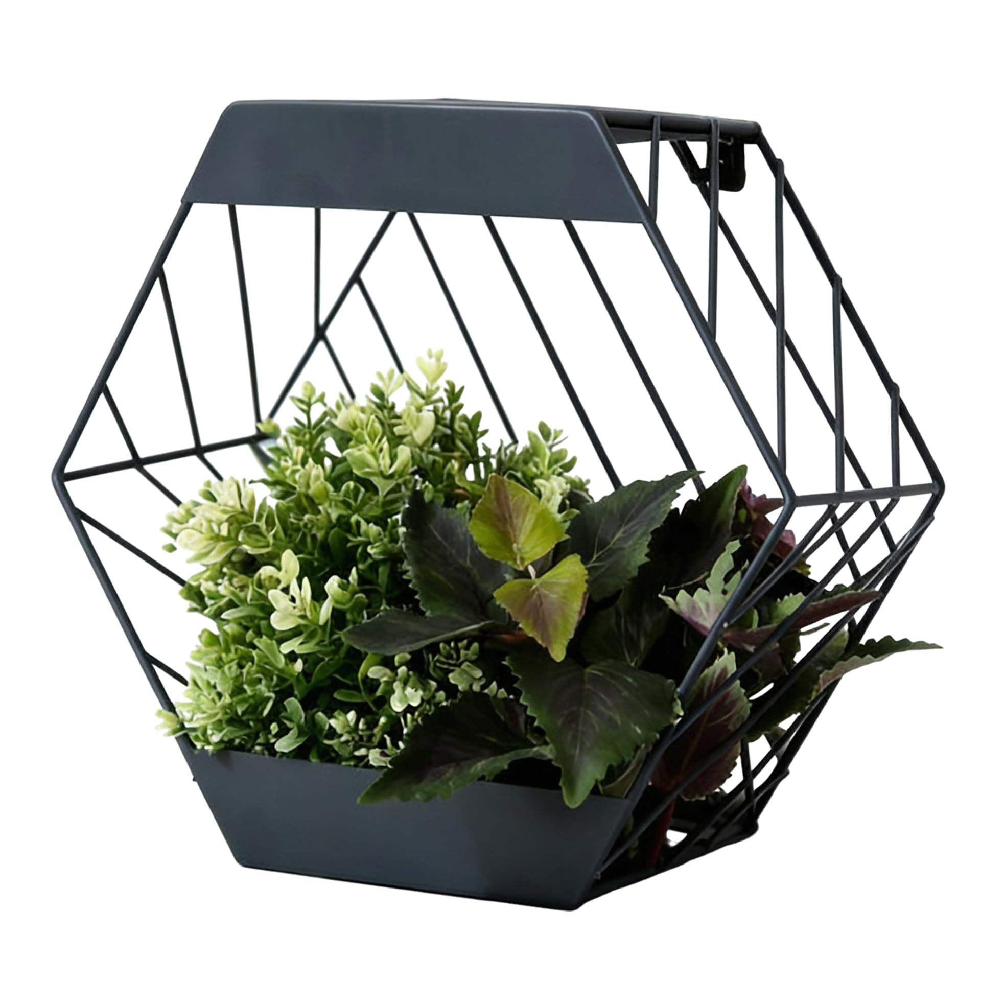 Streetwize  Grey Solar Hex Wall Planter, Sports Direct