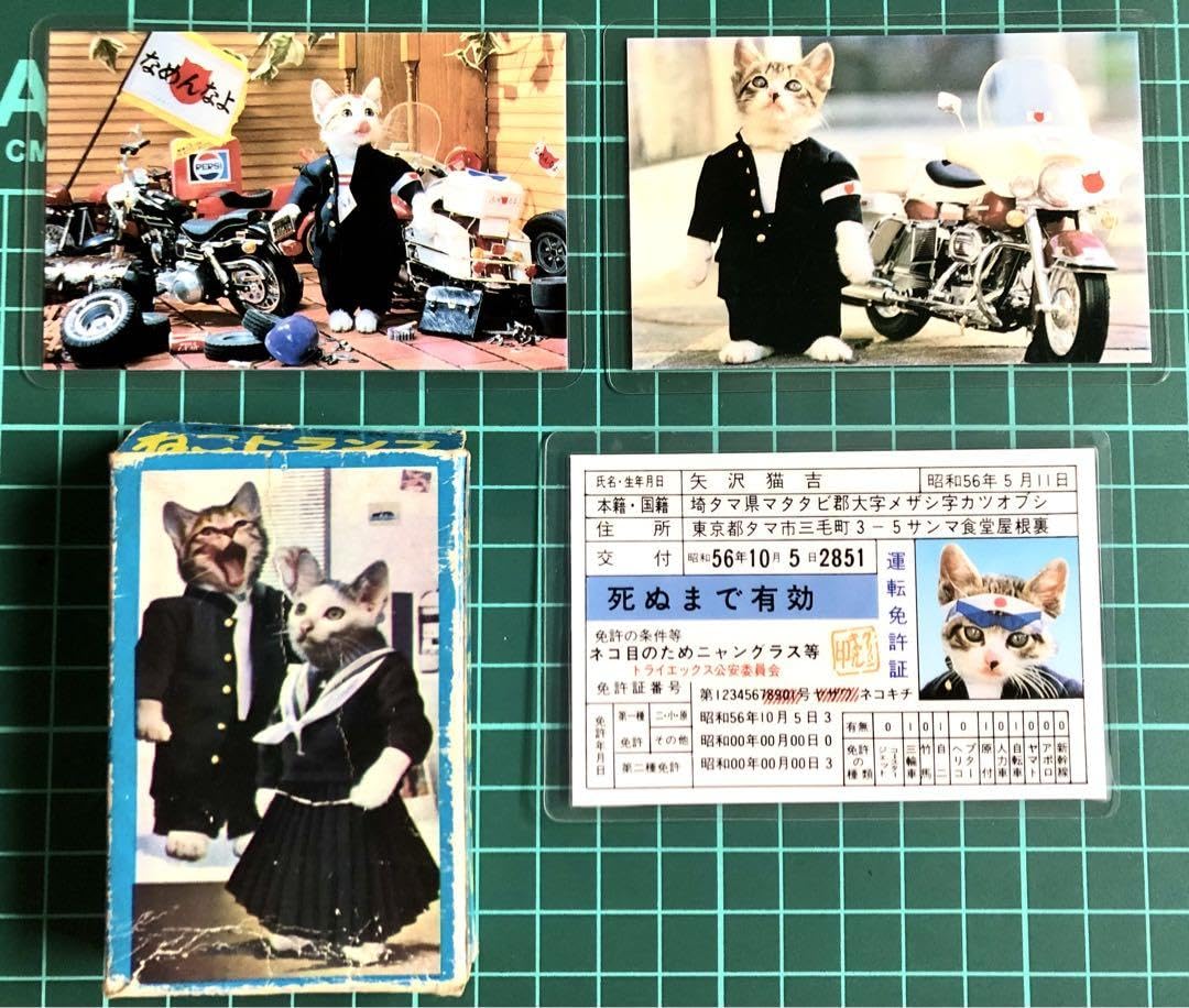 Amazon.co.jp: なめ猫 免許証(初期)矢沢猫吉他カード／トランプ 4点