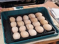 Review Image by Devin Horne Devin Horne