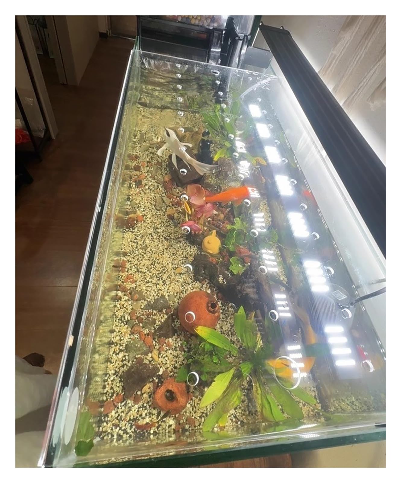 Coperchi per terrario a prova di gatto, copertura per acquario in acrilico, coperchio anti-salto per acquario, montaggio superiore con foro, larghezza 70 x 30 cm