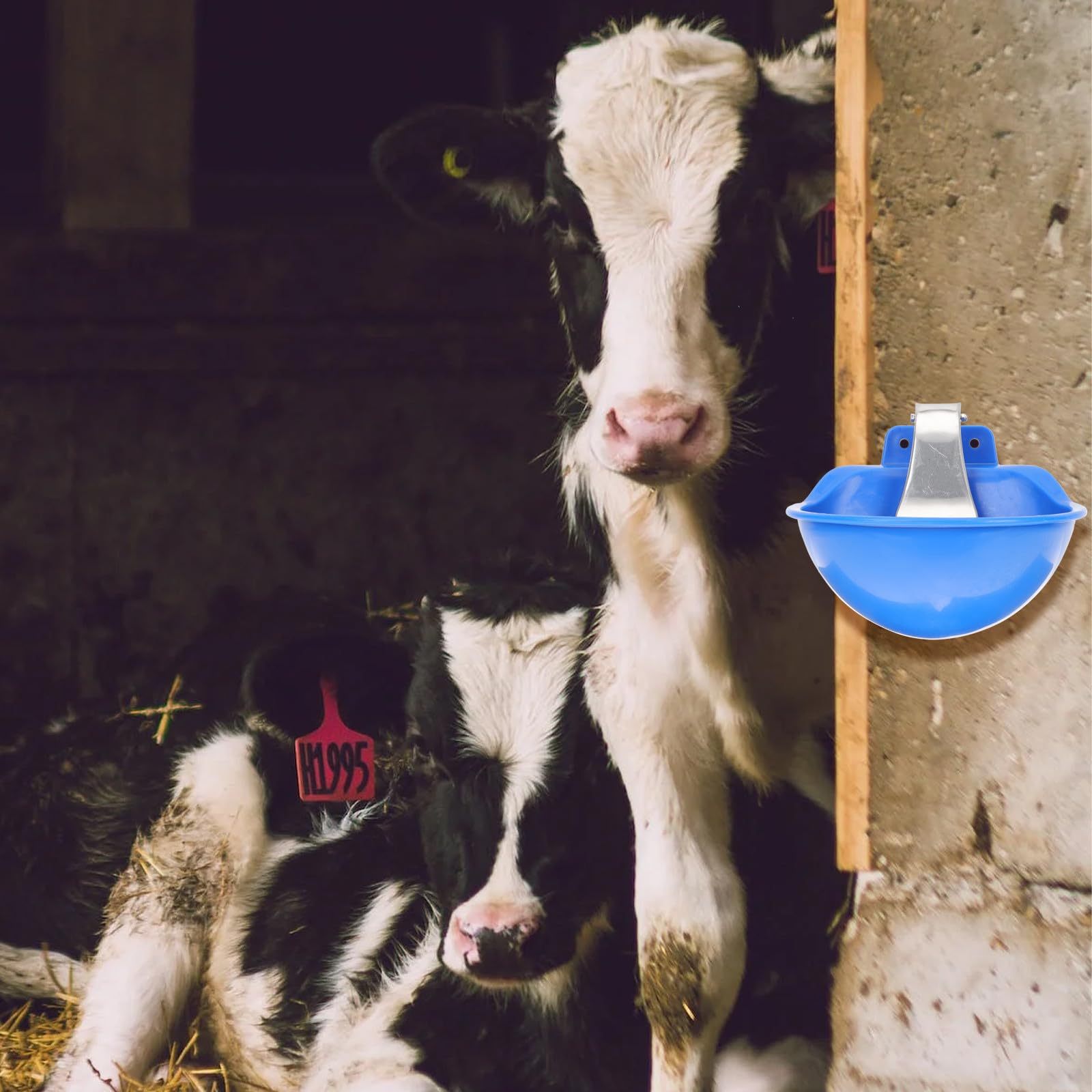 Ciotola Automatica per Bestiame in Plastica e Acciaio Blu