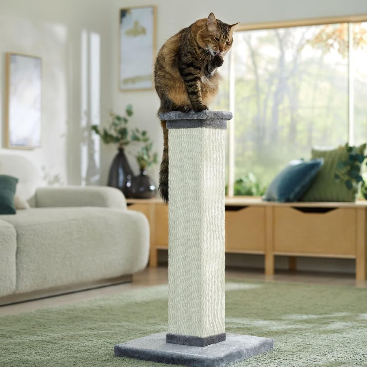 EARSY 33.5Inch Cat Scratching Post and Cat Scratching Tower Meet Your Cat's