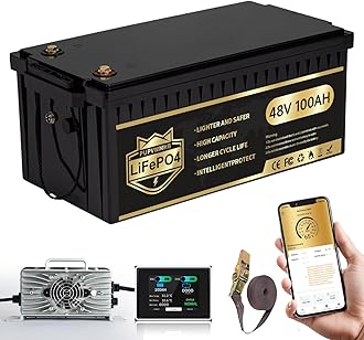 48V 100Ah Lithium Golf Cart Battery, Lifepo4 Battery with 58.4V 18A Charger, Built-in 200A BMS, LCD Monitor & Mobile APP,Peak Current 1000A .10.24kW Output, Perfect for Golf Carts, Solar