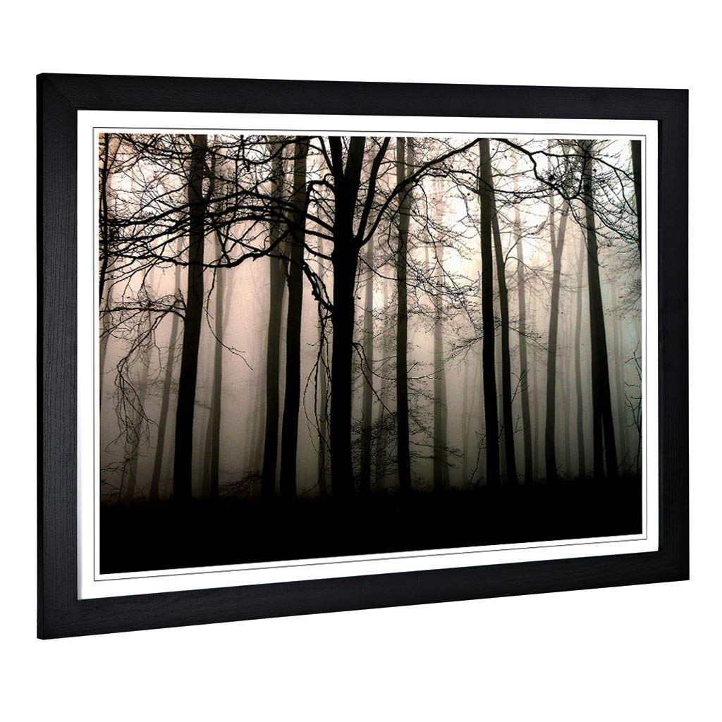 Big Box Art Framed Print of Landscape Sunlight Through Forest Woodland (2) Design | Wall Art Picture| Home Decor for Kitchen, Living Room, Bedroom, Hallway, Black, A2 / 24.5x18 Inch / 62x45cm