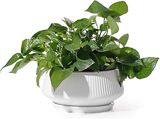 Large Plant Pots - POTEY 8.8 Inch Outdoor Indoor Ceramic Plant Pots with Drainage Holes and Plugs for House Plants, Scinda...