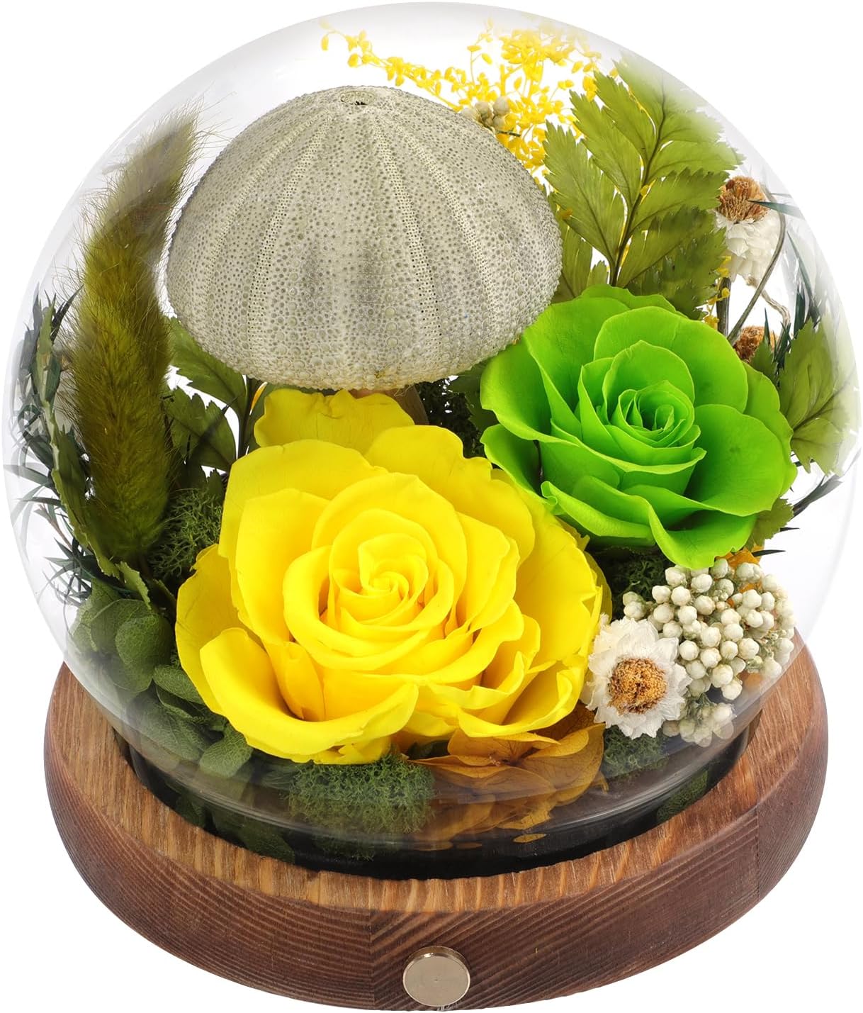 Long-Lasting Real Preserved Flowers in Glass Dome - Unique Starfish or Butterfly Eternal Roses Gift with LED Lights for Women Monther Indoor Decoration, Butterfly and Orange Green Rose