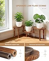 Vista 4 de Estante de plantas cóncavo de interior, soporte de plantas ovalado deformable de 3 niveles, soporte largo para macetas para múltiples plantas