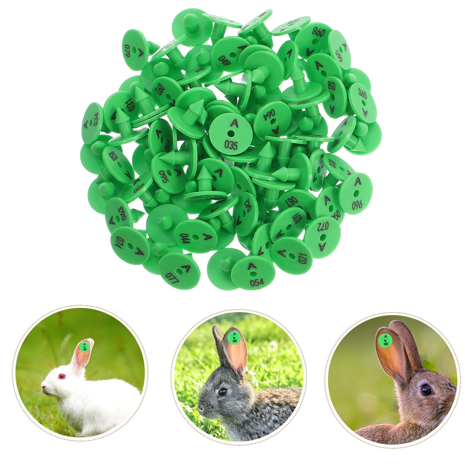 Yardenfun Etichette per Orecchie di Coniglio in Pp Verde 100 Pezzi Facili da per Identificazione e Tracciamento Animali Domestici e Piccoli Animali da Allevamento