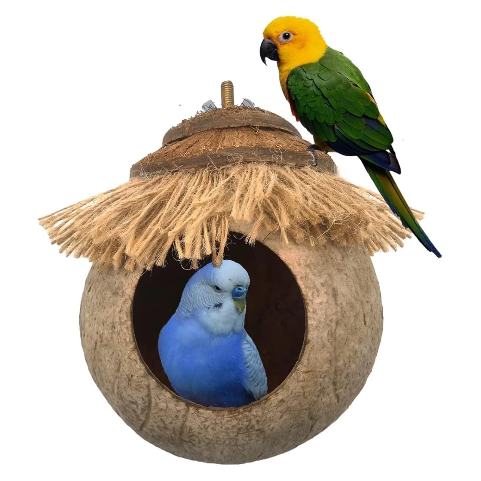 Nido de pájaro de Concha de Coco Casita Colgante de Fibra Coco for pájaros en Jaula, Nido cría for Loros, periquitos, agapornis, pinzones y Canarios pequeños(2pcs Coconut Hide)