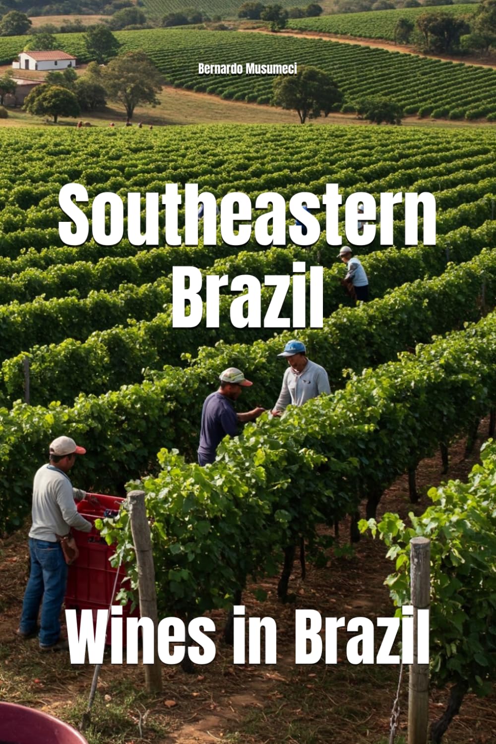 Southeastern Brazil: Wines in Brazil (Wines of the World: Brazil)