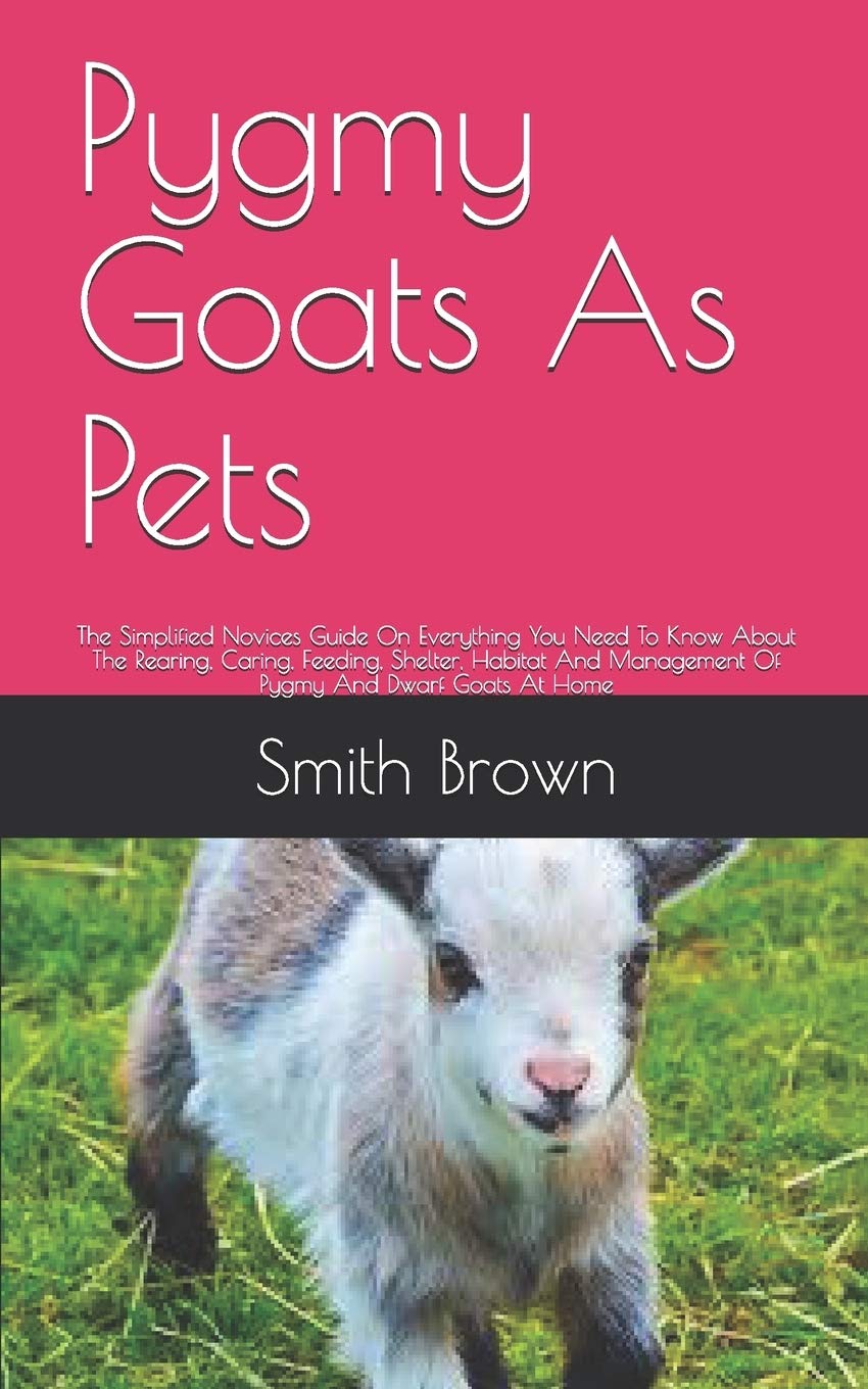 Buy Pygmy Goats As Pets The Simplified Novices Guide On Everything You