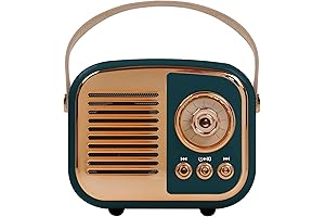 Retro Bluetooth Speaker with Vintage Charm: Nostalgia Meets Modernity