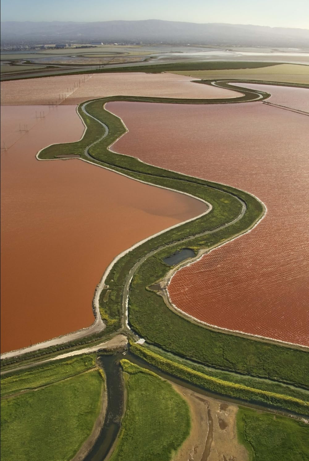 A History of the Netherlands: From Bogs to a Global Power (The Dutch Collection: Master the Language, Unlock the Culture)