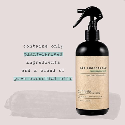 Miniatura 2 de Air Essentials Ambientador y eliminador de olores en aerosol, 12 onzas, paquete de 2, fabricado con aceites esenciales puros, aroma a menta y