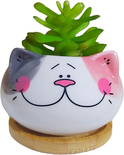 Miniatura 6 de Juego de 6 macetas de cerámica con forma de gato de dibujos animados para interiores con bandeja de bambú, planta no incluida (3.5 pulgadas)