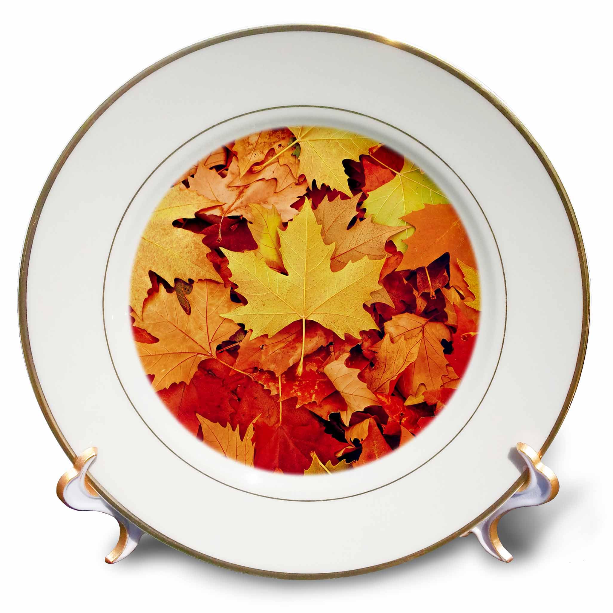 3dRose cp_255584_1 Autumn Colorful Leaves Leaf Season Plate, 8