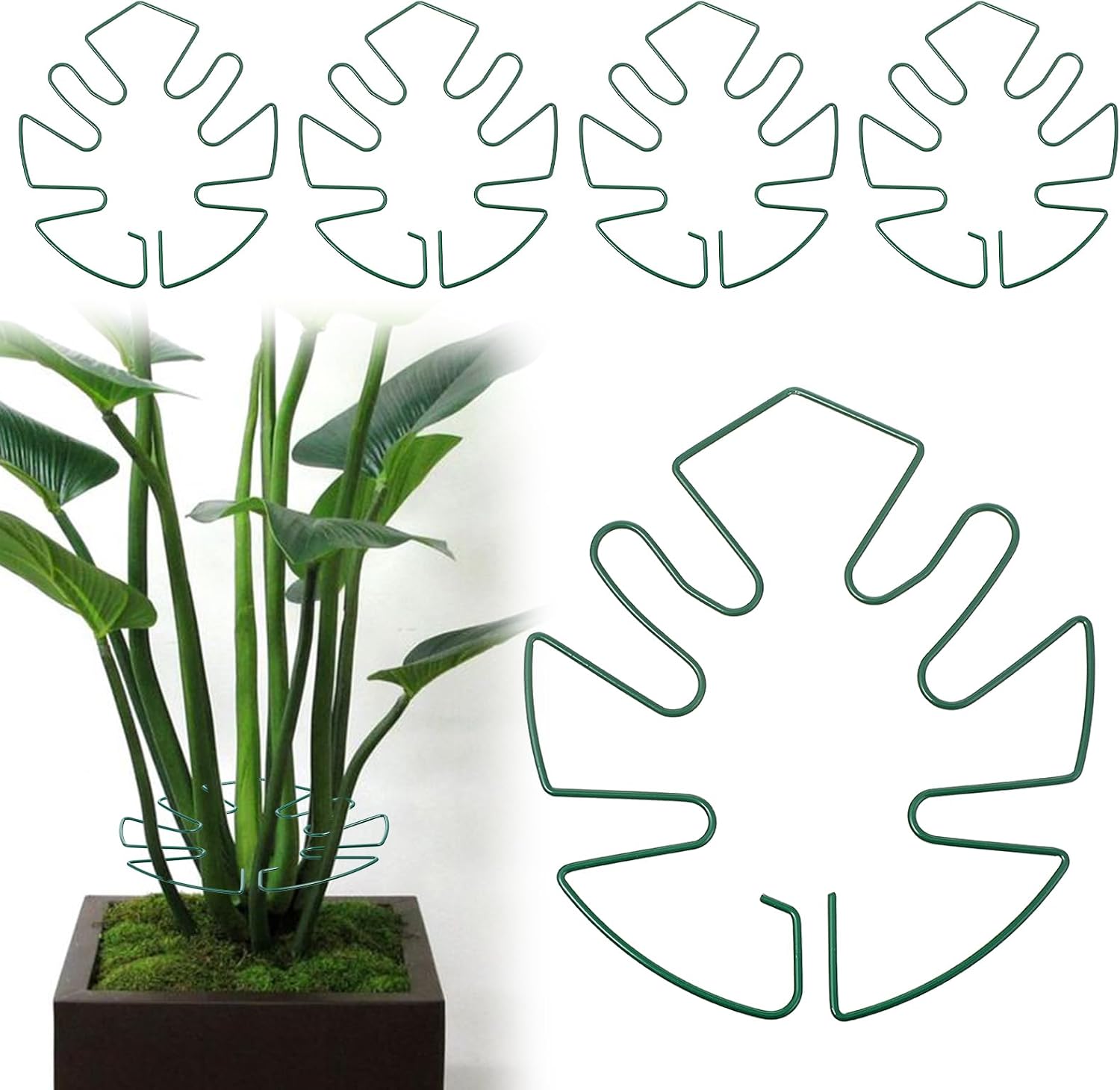 5 PCS Iron Monstera Plant Support, Plant Stabilizer for Indoor Plants, Metal Monstera Plant Stabilizer, Plants Stem Holder for Thriving Growth Indoor Plants(Green)