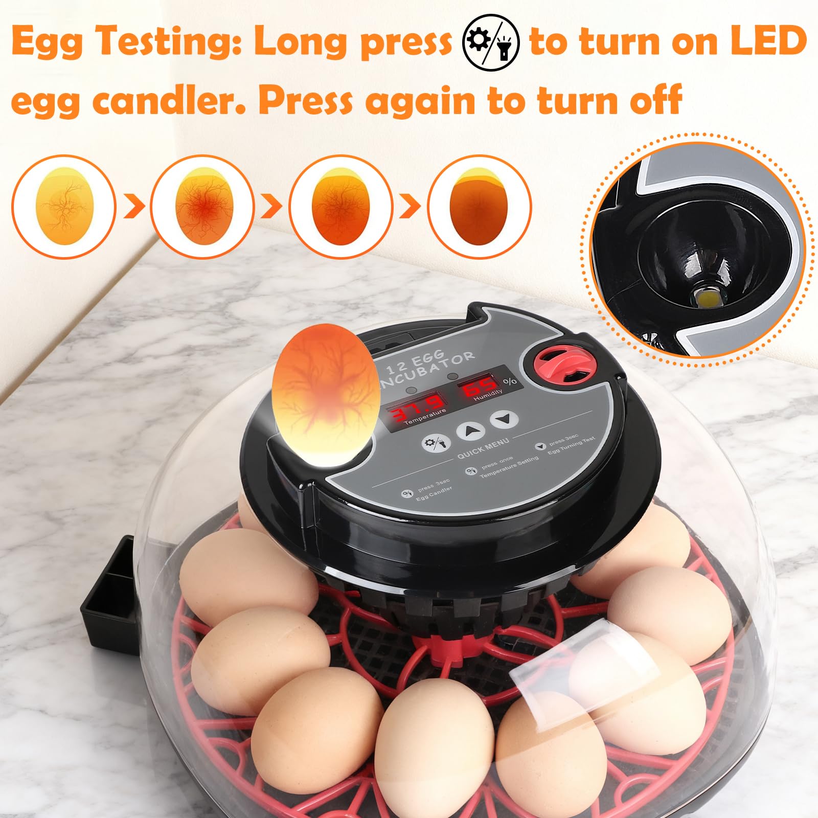 EFUTURETIME Incubadora Automática para Huevos de Gallina, Incubadora con Temperatura y Humedad Ajustables para 12 Huevos, con Volteo Automático, Luz de Inspección