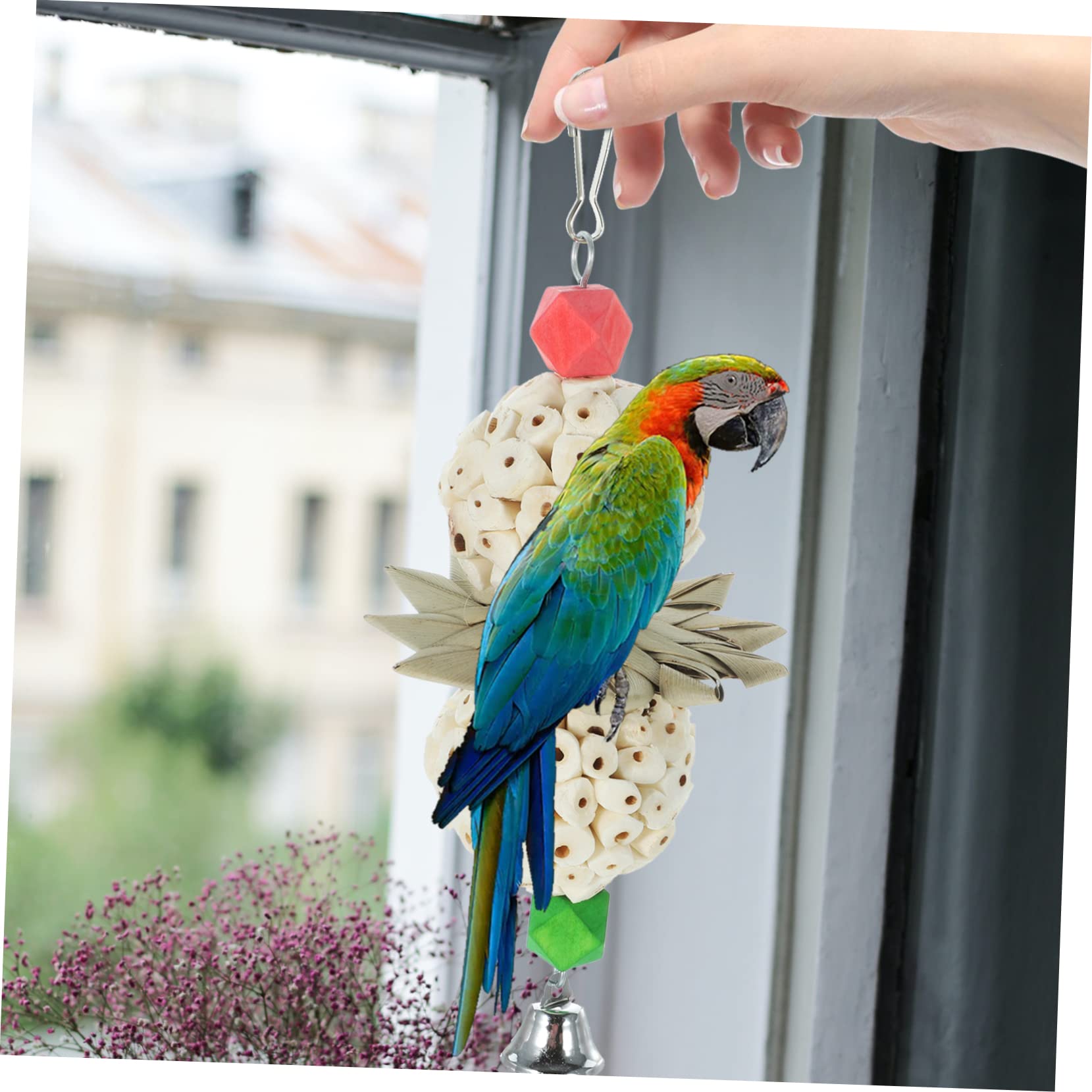 DOITOOL 5piezas Juguete para Periquitos y Loros Colgante Accesorio para Jaula De Aves Material Resistente y Seguro Diseño Creativo Forma De Linterna para Masticar y Decorar La Jaula