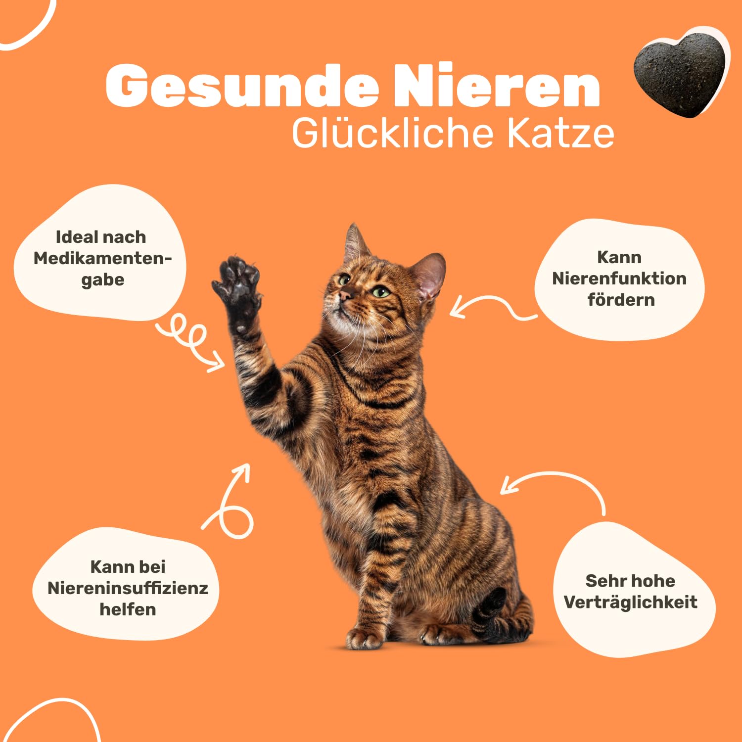 6-in-1 Nieren- & Blasen-Komplex für Katzen | Unterstützt Harnwege & Nierenfunktion | Nierendiät Katze | Mit Cranberry & Hagebutte | Renal Tonicum für Katzen | Tierärztlich entwickelt | Patsli Pee