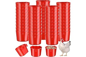 Bebederos automáticos para gallinas: solución práctica para la hidratación de las aves de corral